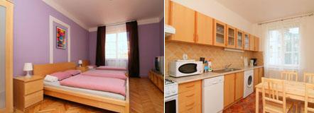 Apartment Templova C