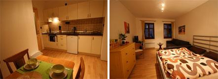 Apartment Brevnov 1 room